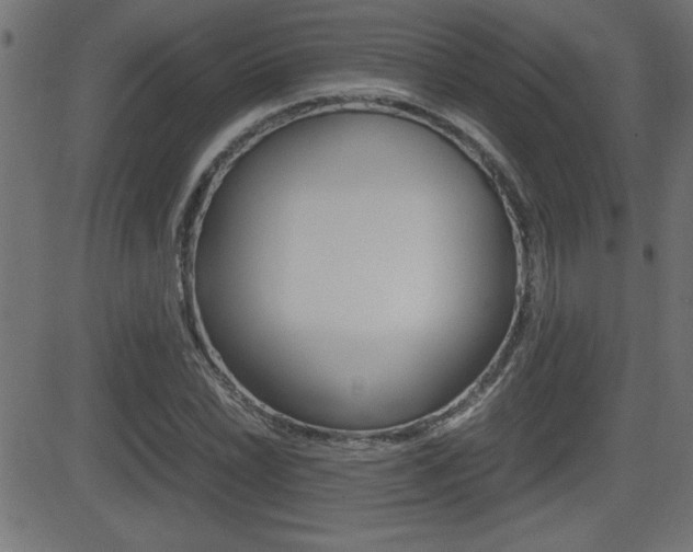 X0000081431022200701120914