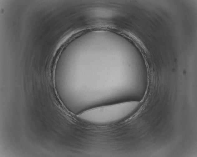 X0000081431023200701120914