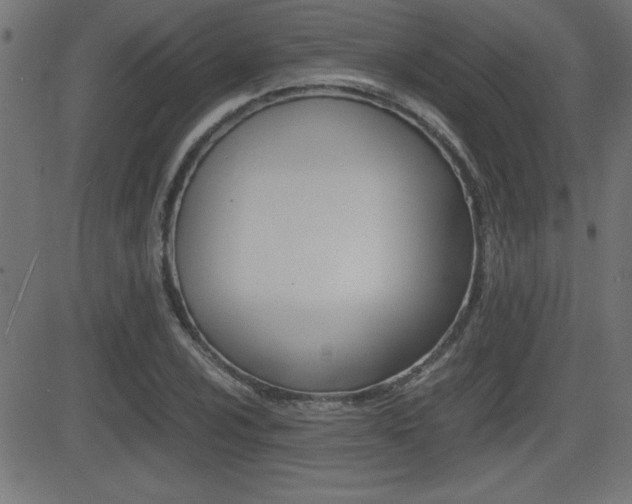 X0000081431024200701120914