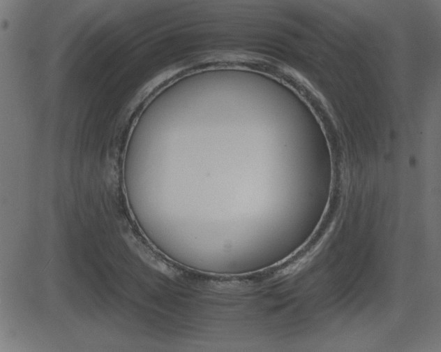 X0000081431025200701120914