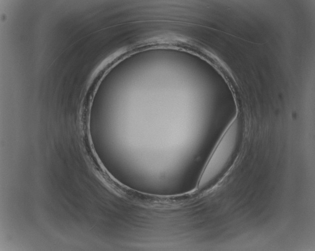 X0000081431026200701120914