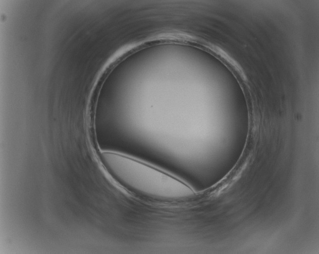 X0000081431037200701120914