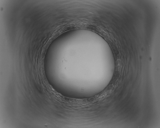 X0000081431057200701120913
