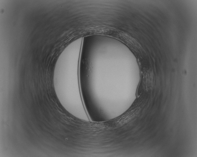 X0000081431058200701120913