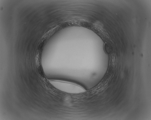 X0000081431060200701120913