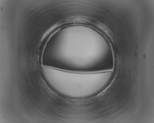 X0000081431066200701120913