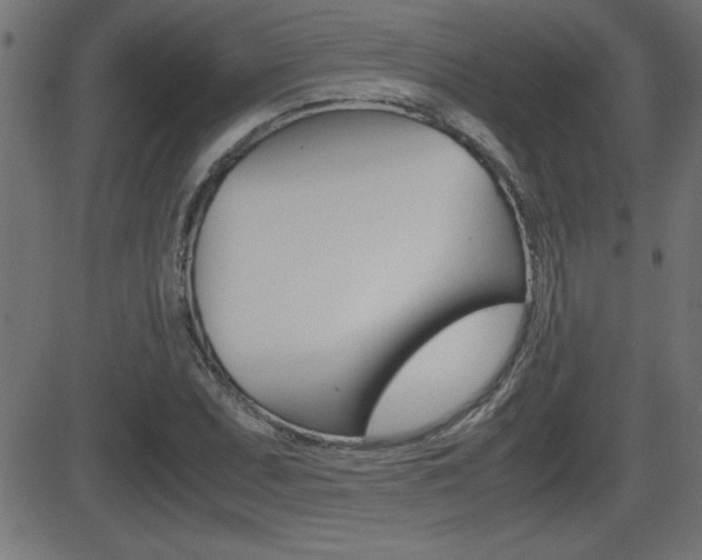 X0000081431071200701120913