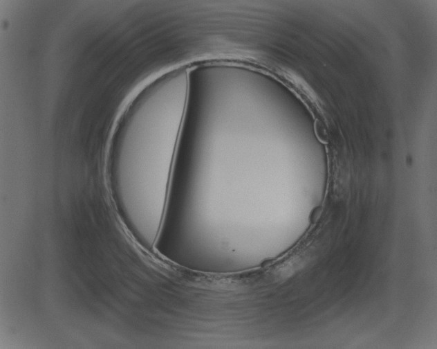 X0000081431072200701120913