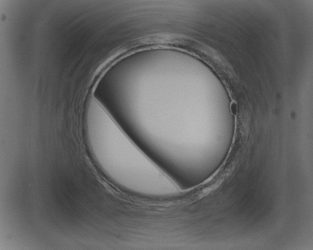 X0000081431073200701120913