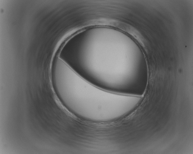 X0000081431080200701120913