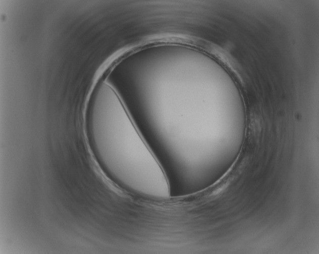 X0000081431082200701120913