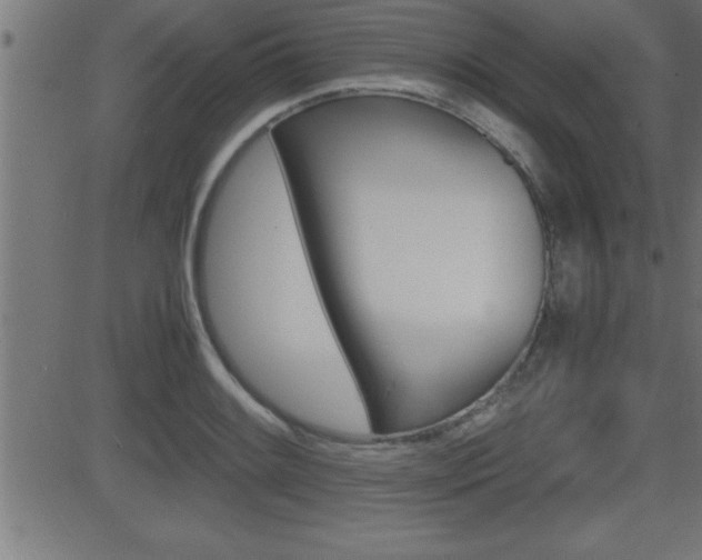 X0000081431084200701120913