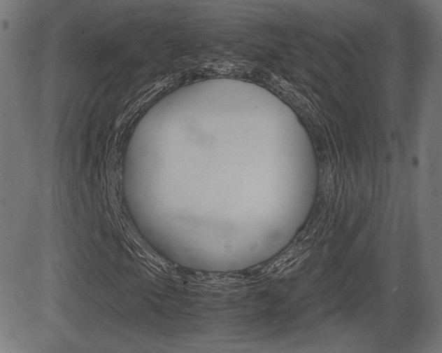 X0000081431105200701120912