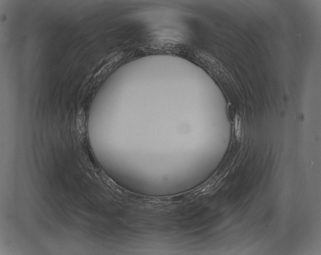 X0000081431107200701120912