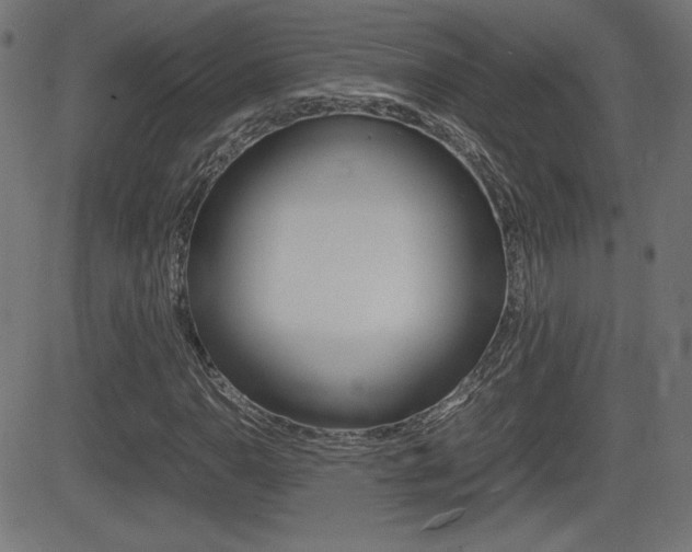 X0000081431110200701120912