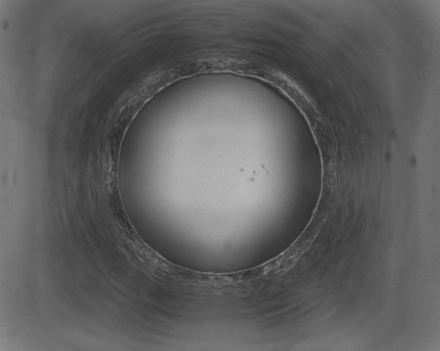 X0000081431111200701120912
