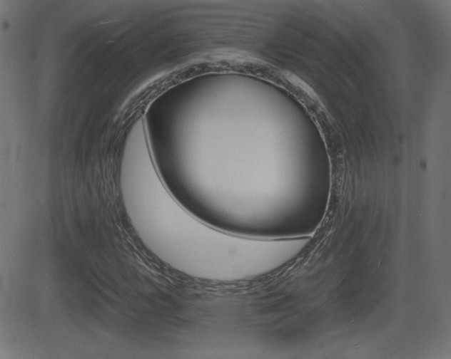 X0000081431112200701120912