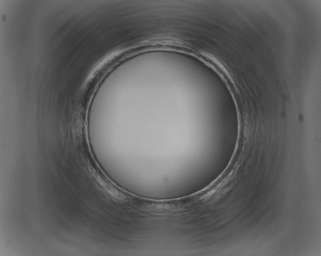 X0000081431115200701120912
