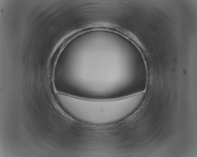 X0000081431116200701120912