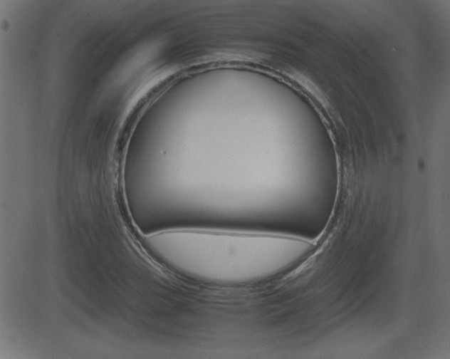 X0000081431119200701120912