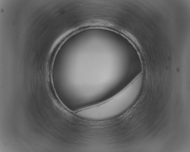 X0000081431120200701120912