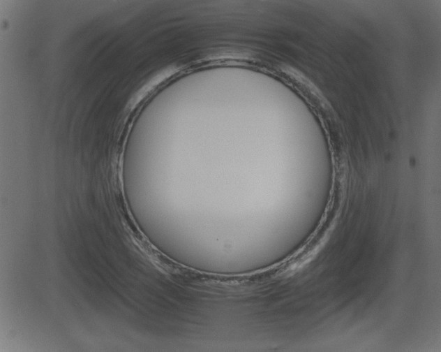 X0000081431121200701120912