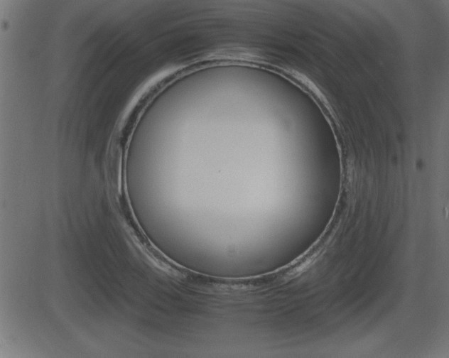 X0000081431123200701120912