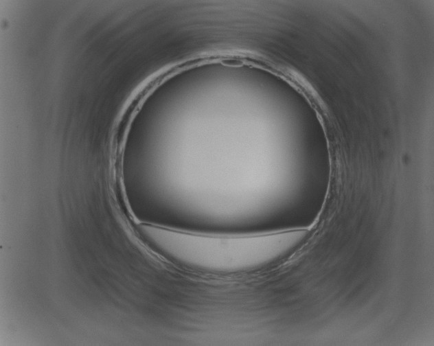 X0000081431124200701120912