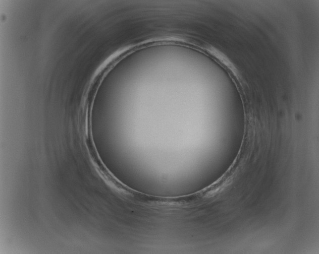 X0000081431127200701120912