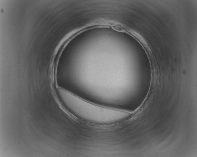 X0000081431128200701120912