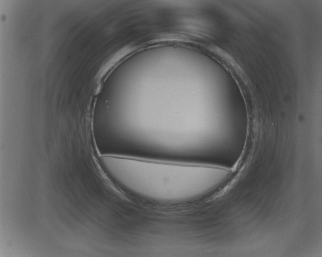 X0000081431129200701120912