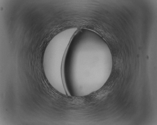 X0000081431153200701120912