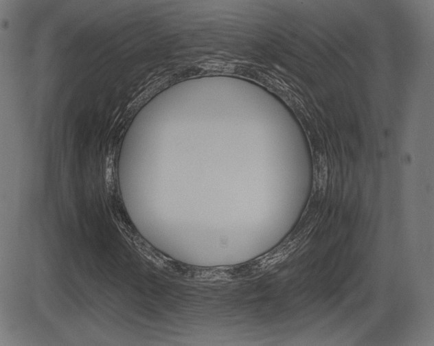 X0000081431154200701120912