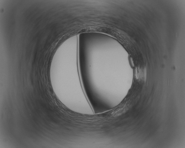 X0000081431155200701120912