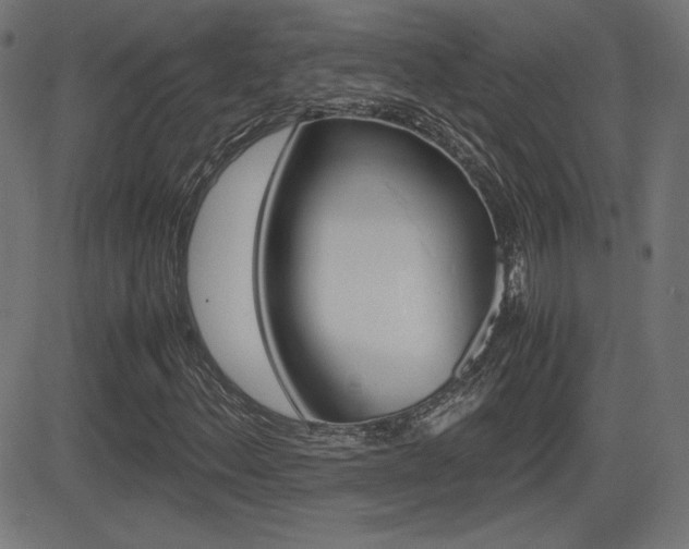 X0000081431156200701120912