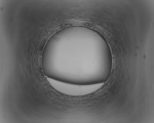X0000081431157200701120912