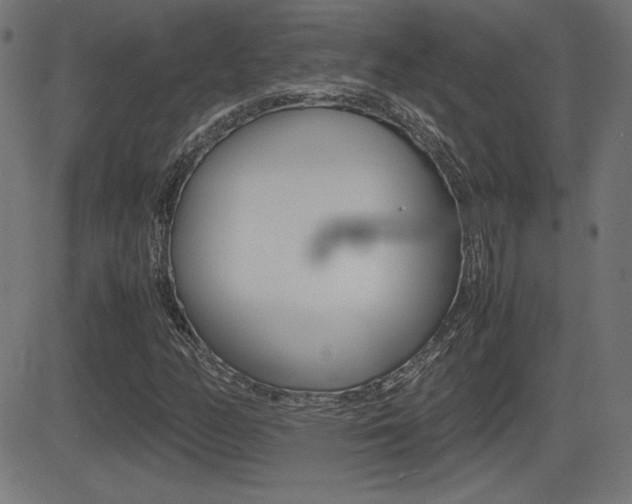 X0000081431158200701120912