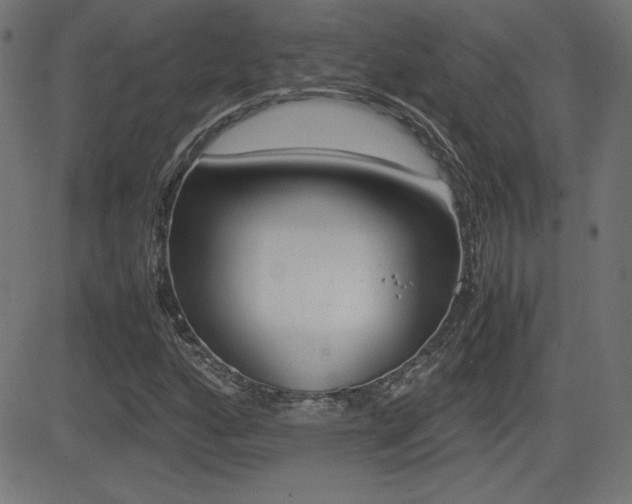 X0000081431160200701120912