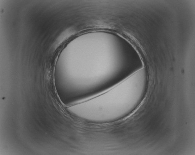 X0000081431163200701120912