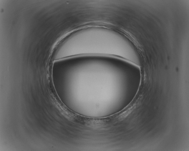 X0000081431164200701120912