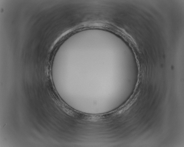 X0000081431166200701120912