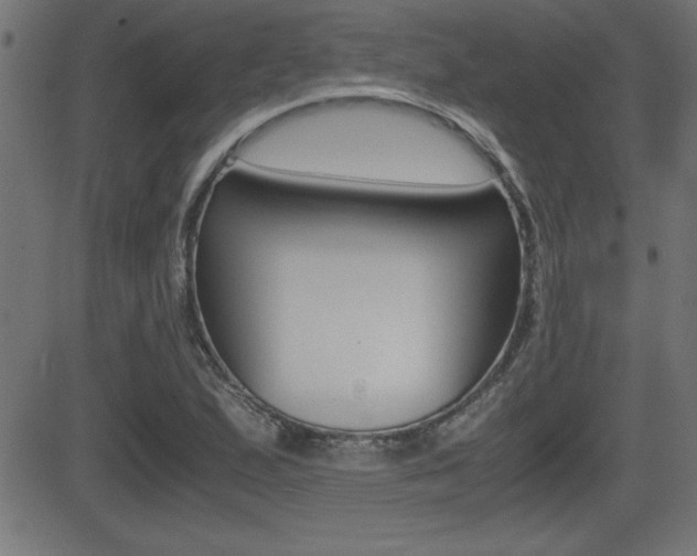 X0000081431167200701120912