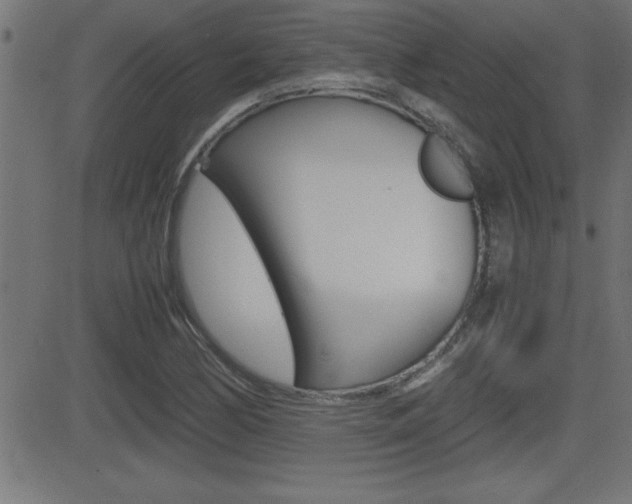 X0000081431170200701120911
