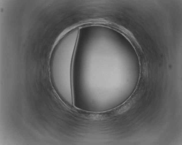X0000081431176200701120911