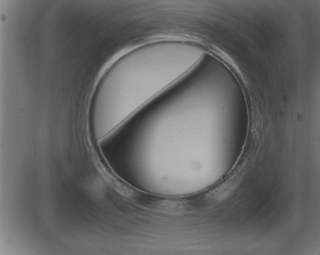X0000081431179200701120911
