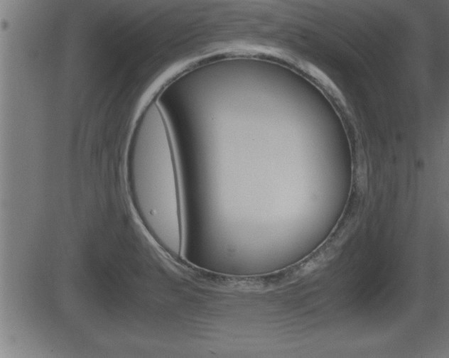 X0000081431183200701120911