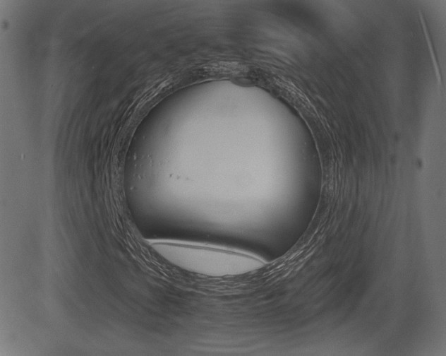 X0000081431201200701120910