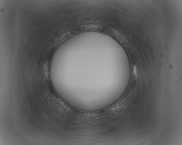 X0000081431203200701120910