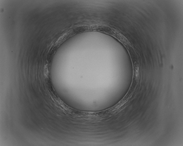 X0000081431204200701120910