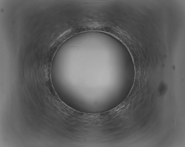 X0000081431205200701120910